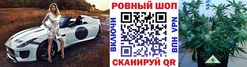 Галлюциногенные грибы Эртиль