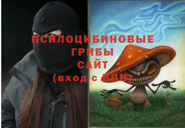 герыч Медногорск