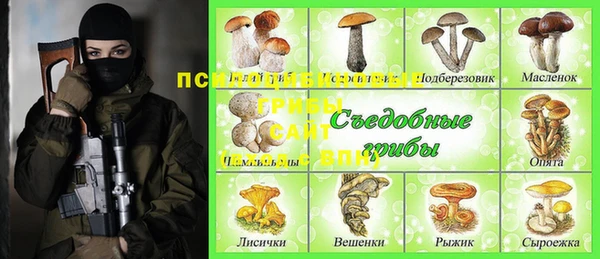 герыч Медногорск
